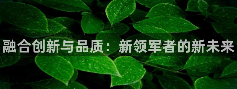 樱花视频免费高清