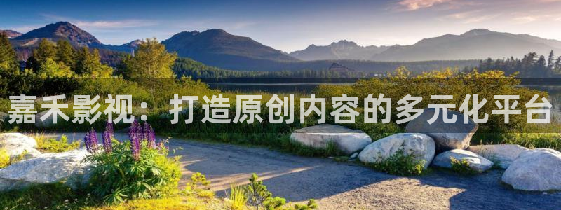樱花视频高清免费观看电视剧