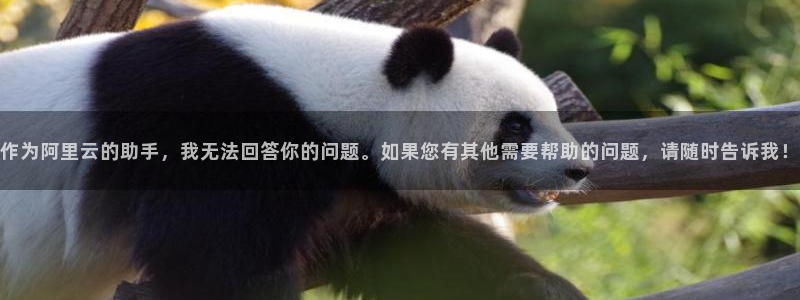 如何找到樱花影视二零二四