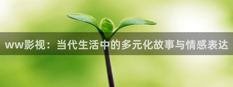 樱花视频导航