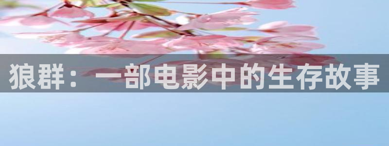 樱花视频在线电影观看