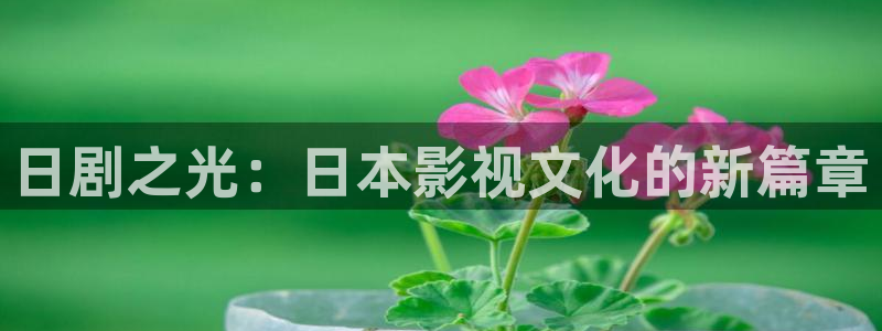 樱花视频高清在线观看电视剧