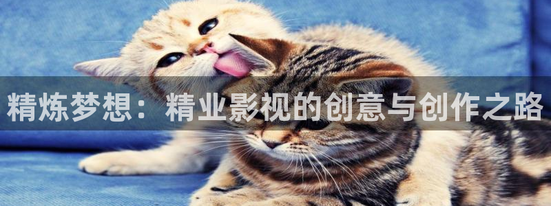 樱花视频在线www