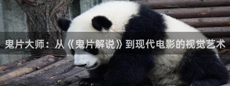 樱花视频app