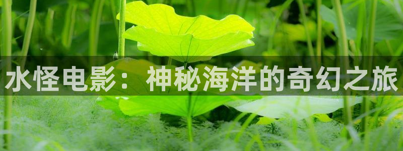 樱花影视下载
