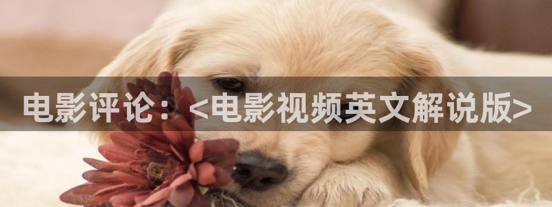 樱花视频最新网址
