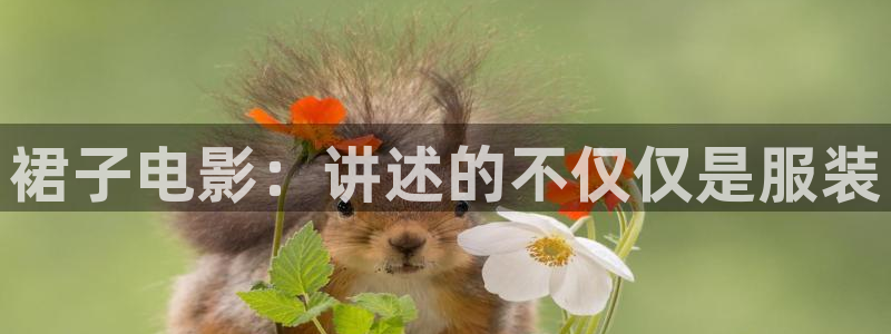 樱花视频免费观看电视剧