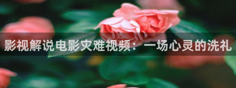 樱花影院app