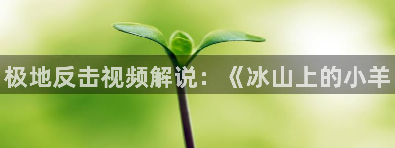粉色樱花视频