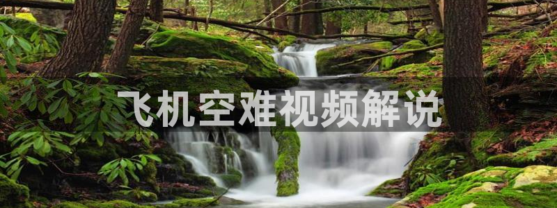 樱花视频免费观看电视剧动漫