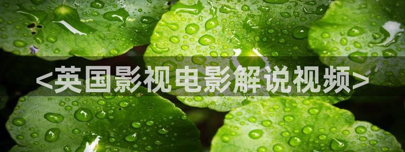 樱花视频成人app