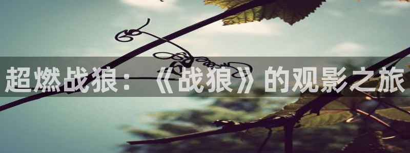 免费看樱花视频