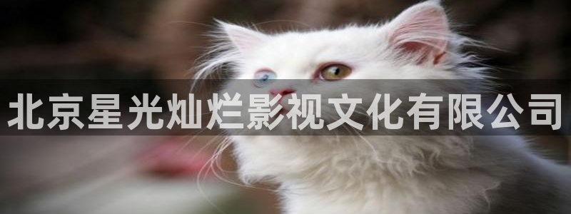樱花视频网