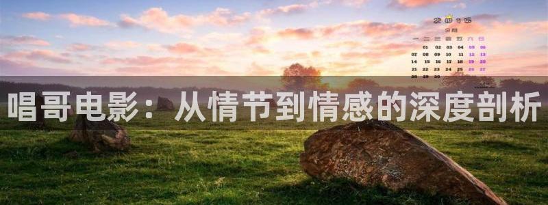 实拍樱花视频