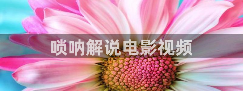 樱花视频高清观看