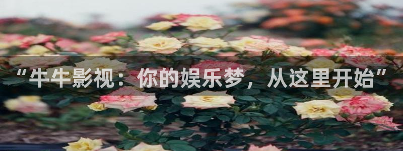 樱花视频号