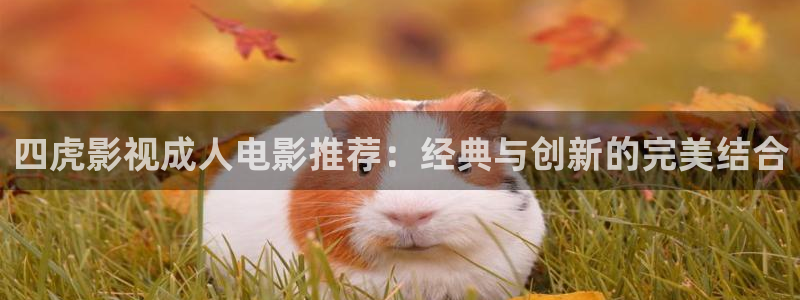 樱花视频在线观看高清