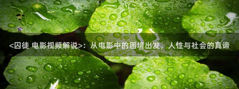 樱花视频刷色软件