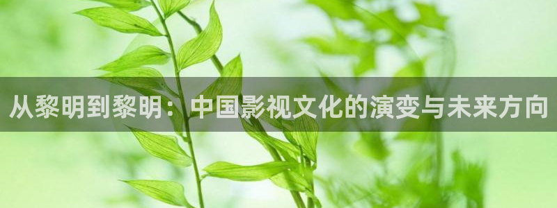 樱花视频′