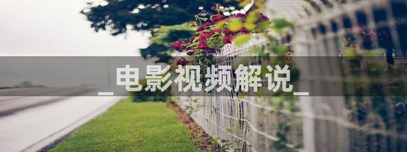动漫樱花影视
