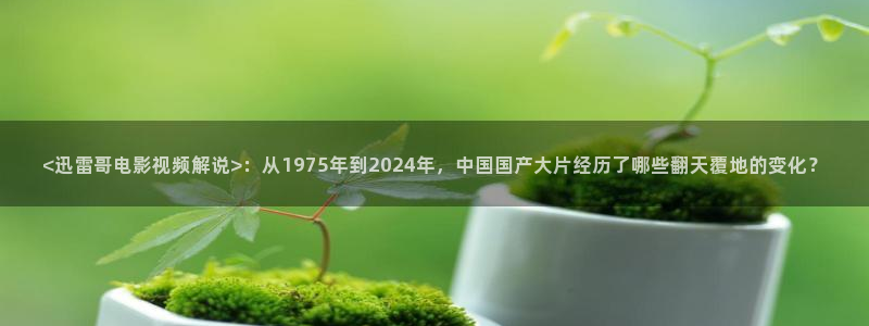 樱花视频免费在线看