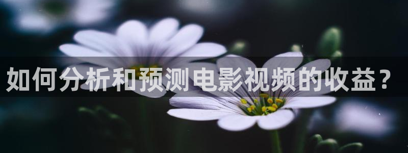 樱花视频 在线