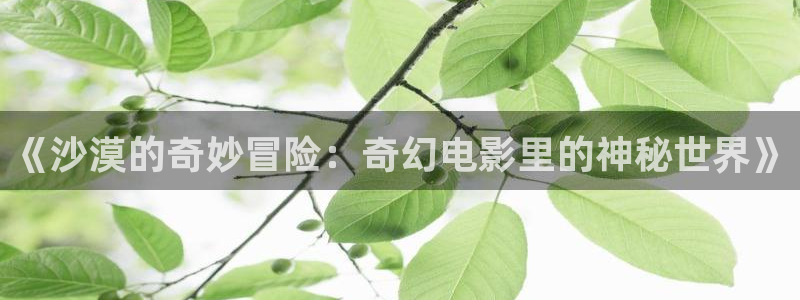 樱花影院热门电影有哪些