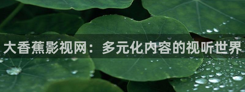 玖玖玖樱花视频
